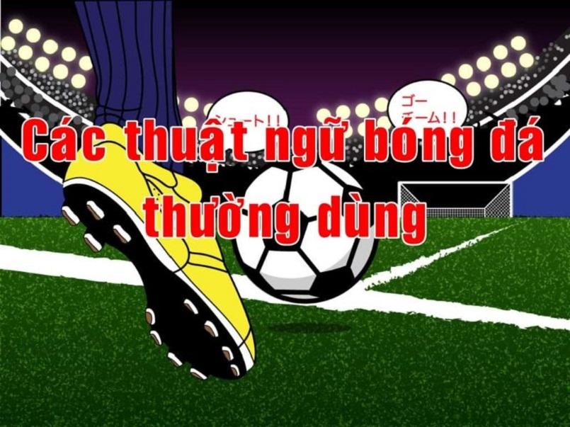 Khám phá web cá cược uy tín và trải nghiệm giải trí đỉnh cao tại web cá cược hot nhất hiện nay